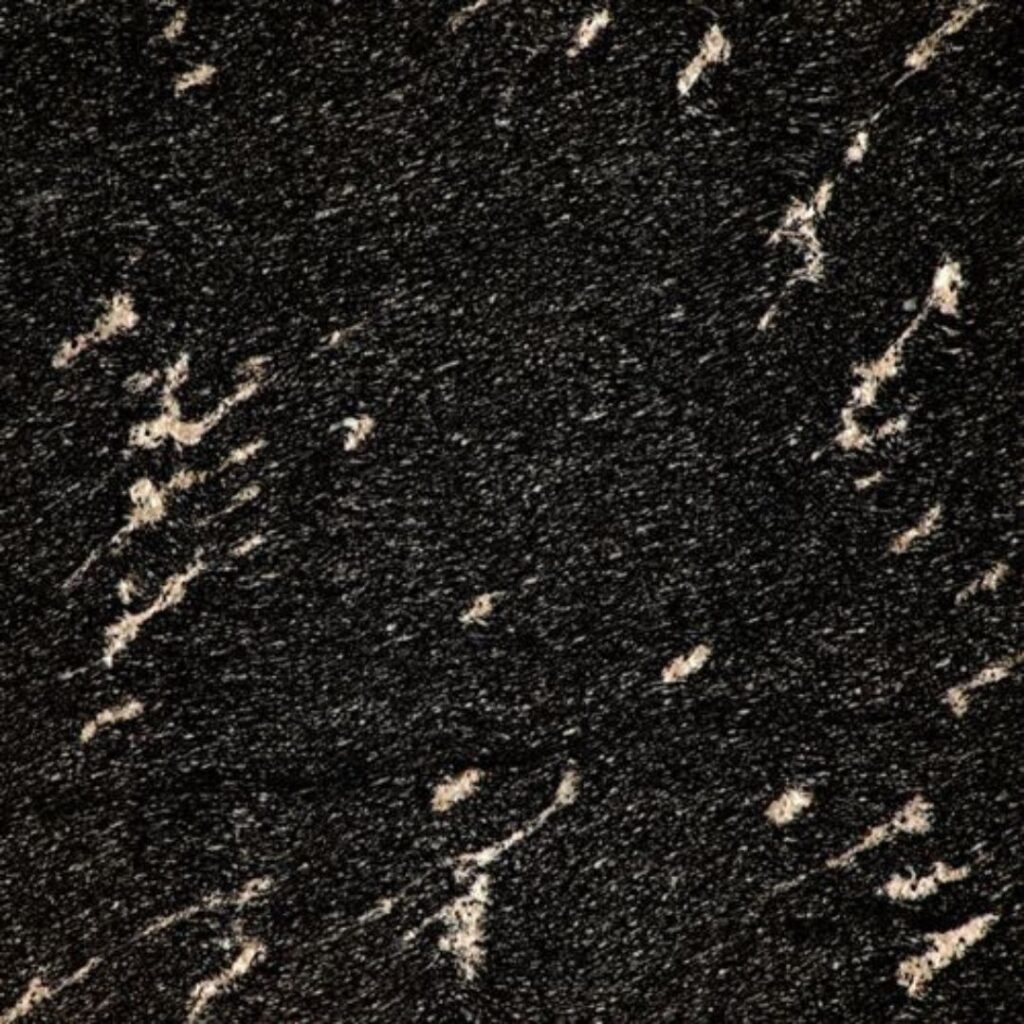 Fish Black Granite in Kishangarh
