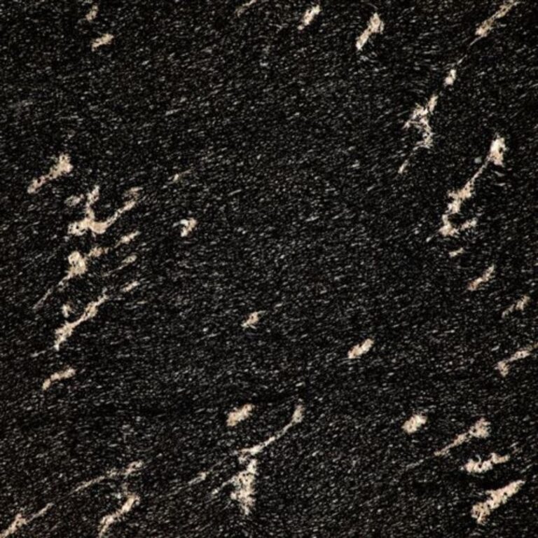 Fish Black Granite in Kishangarh