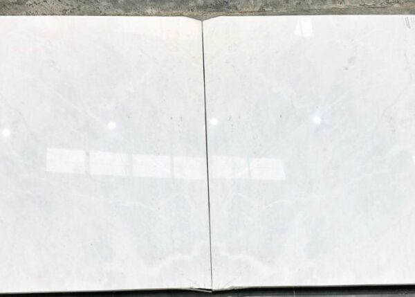 Michelangelo Marble in Delhi